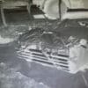 WW2 British Airborne Para Container by Truck Original Negative #185 - Image 2