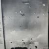 WW2 British Airborne Polish D-Day Glider Troops Commander Thank You Photograph - Image 4