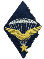 France French SAS Special Forces Cloth Sleeve Insignia Patch