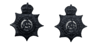 WW1 British BEF Army Service Corps Collar badge Insignia Pair