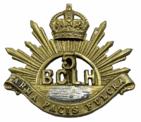 Canadian Militia Officers 5th British Columbia Light Horse BCLH Cap Badge