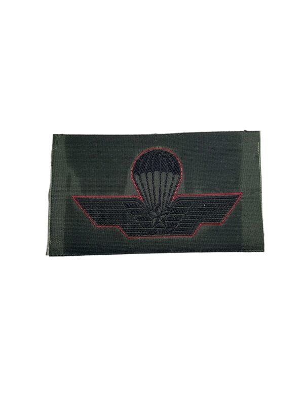 Italian Italy Airborne Parachute Para Jump Wing 2