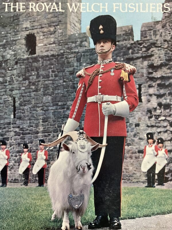 British Royal Welch Fusiliers Reference Book