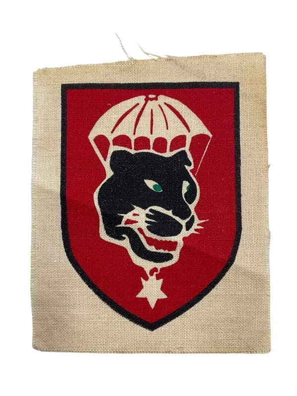 ARVN South Vietnam 1st Division Strike Company Printed Patch