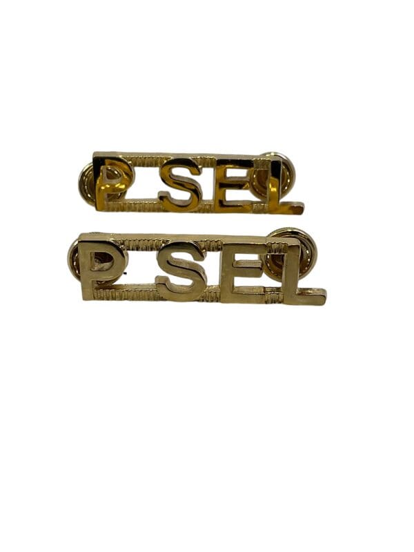 Canadian Forces PSEL Personnel Selection Shoulder Titles Insignia Pair