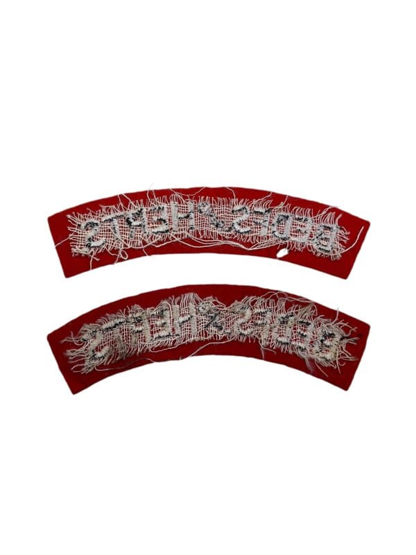 British Bedfordshire and Hertsfordshire Shoulder Titles Insignia Pair