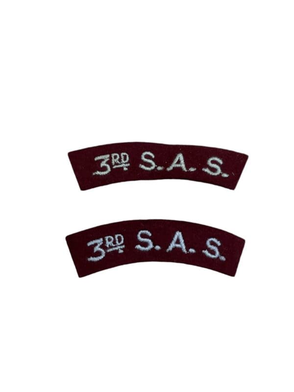 British Rifle 3rd SAS Special Air Service Shoulder Titles Insignia Pair