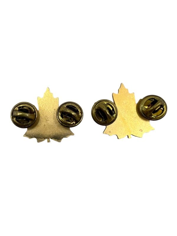 Canadian Forces Air Cadets CIC Civilian Instructors Collars Insignia Pair - Image 2