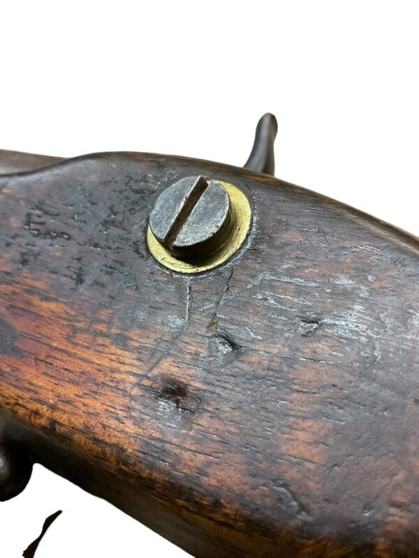 Dutch East India Company Percussion Musket - Image 12