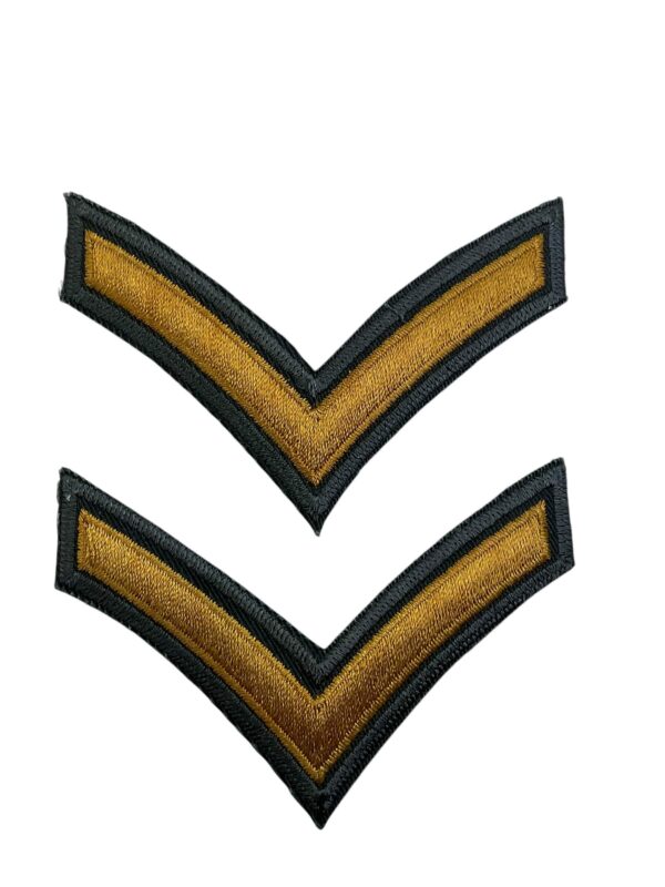 Canadian Forces Garrison Dress Private Pte Rank Insignia Pair