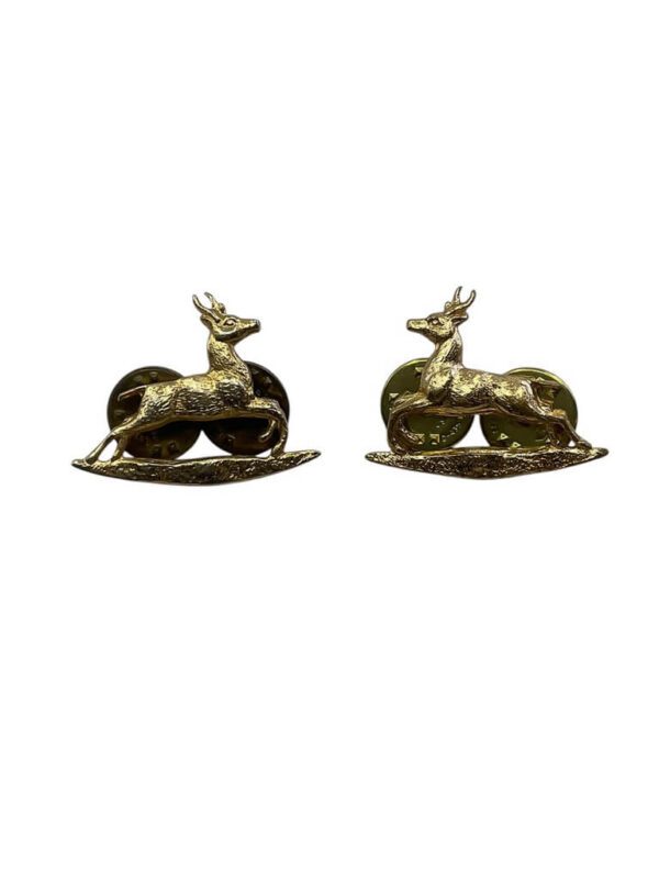 Canadian Royal Canadian Dragoons Collars Insignia Pair