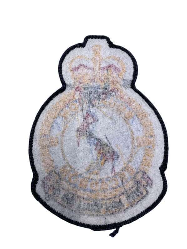 Canadian Forces RCAF 422 Squadron Heraldic Colour Crest Patch Vintage