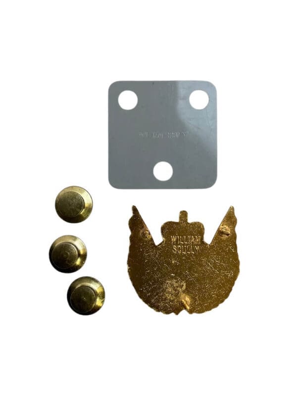 Canadian Forces RCAF Aircrew Wing Metal