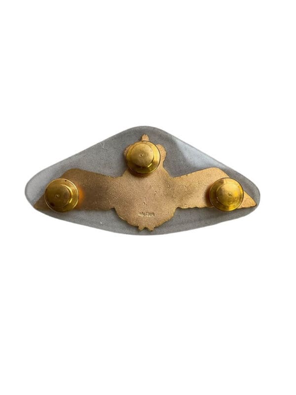 Canadian Forces RCAF AESOP Wings Metal