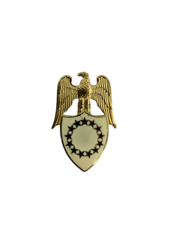 US Army DUI Distinctive Uniform Insignia Aide to the Vice President Badge Pin
