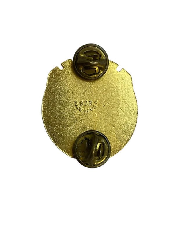 US Army DUI Distinctive Uniform Insignia 202nd Support Battalion Badge Pin