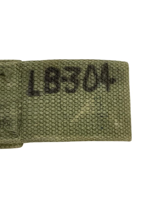 Canadian 51 Pattern Web Frog
