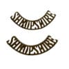 WW1 British BEF Shropshire Shoulder Titles Insignia Pair