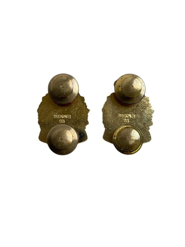Canadian Forces Physical Training Branch Peri Collars Insignia Pair