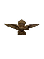 WW1 British RAF Eagle Badge