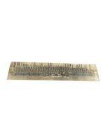 WW1 Canadian CEF 208th Battalion C Company Yard Long Photograph